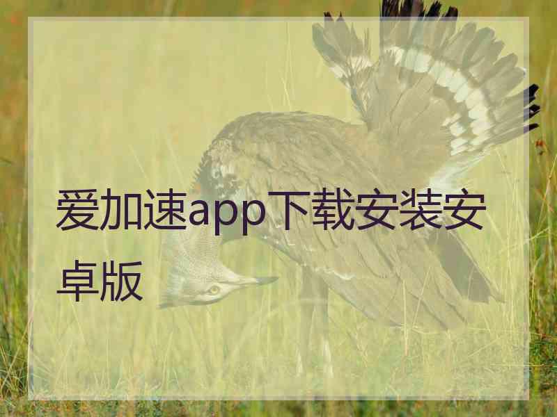 爱加速app下载安装安卓版