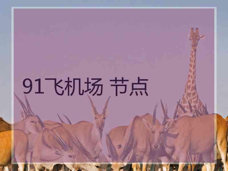 91飞机场 节点