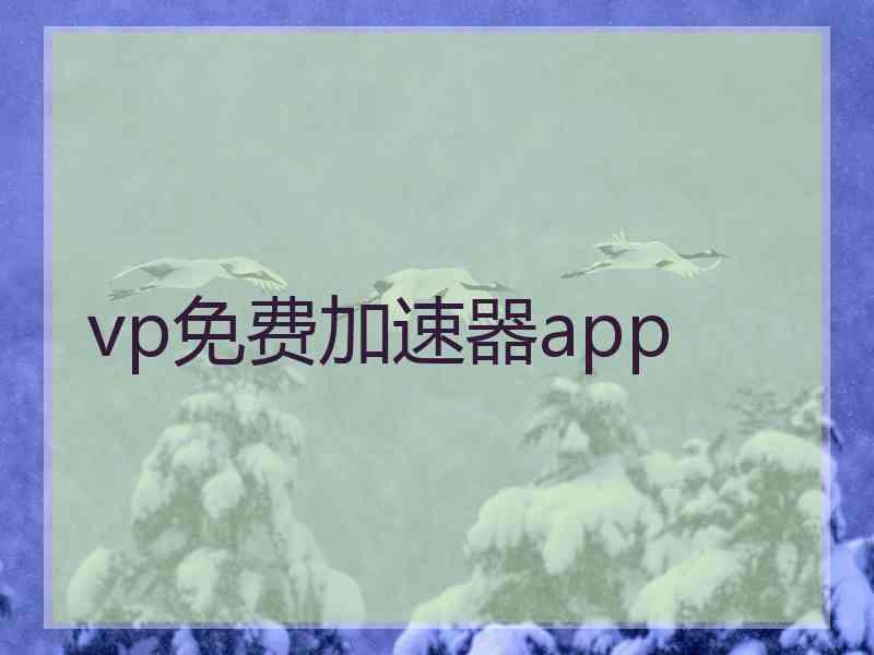vp免费加速器app