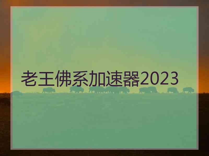 老王佛系加速器2023