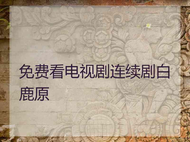 免费看电视剧连续剧白鹿原