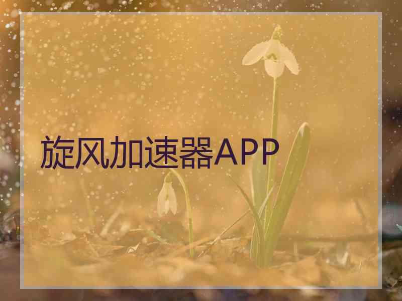 旋风加速器APP