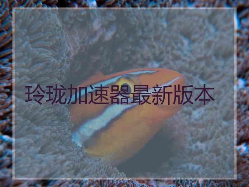 玲珑加速器最新版本