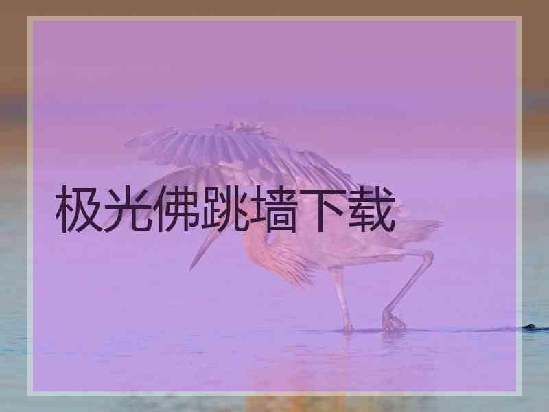极光佛跳墙下载