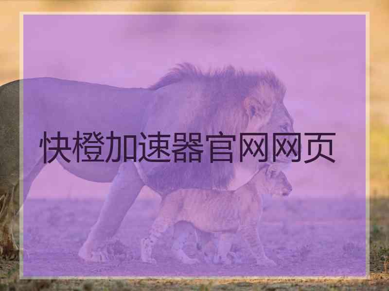 快橙加速器官网网页