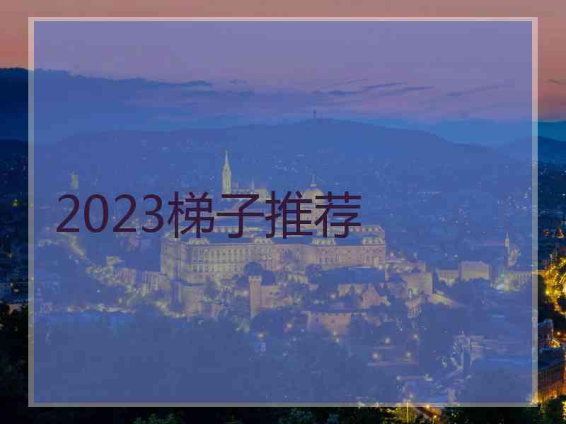 2023梯子推荐