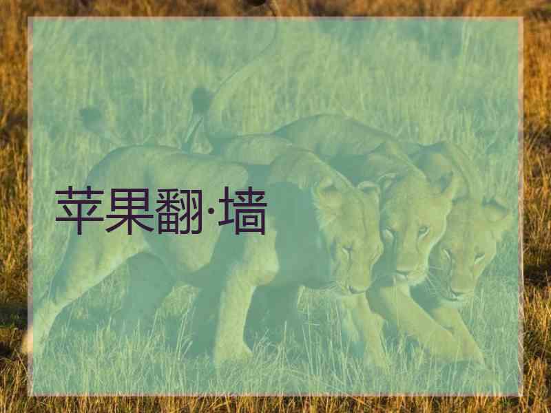 苹果翻·墙