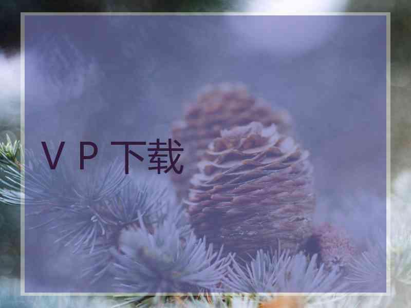 V P 下载