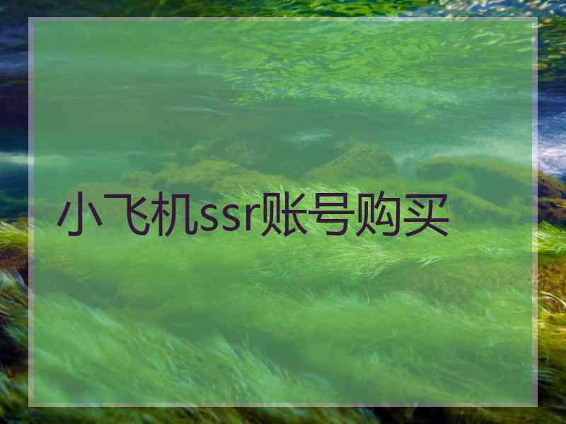 小飞机ssr账号购买