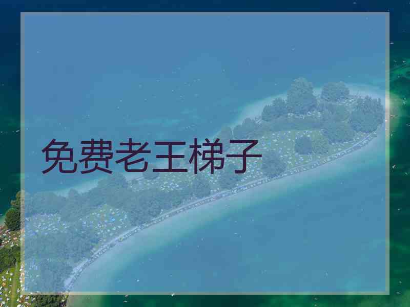 免费老王梯子