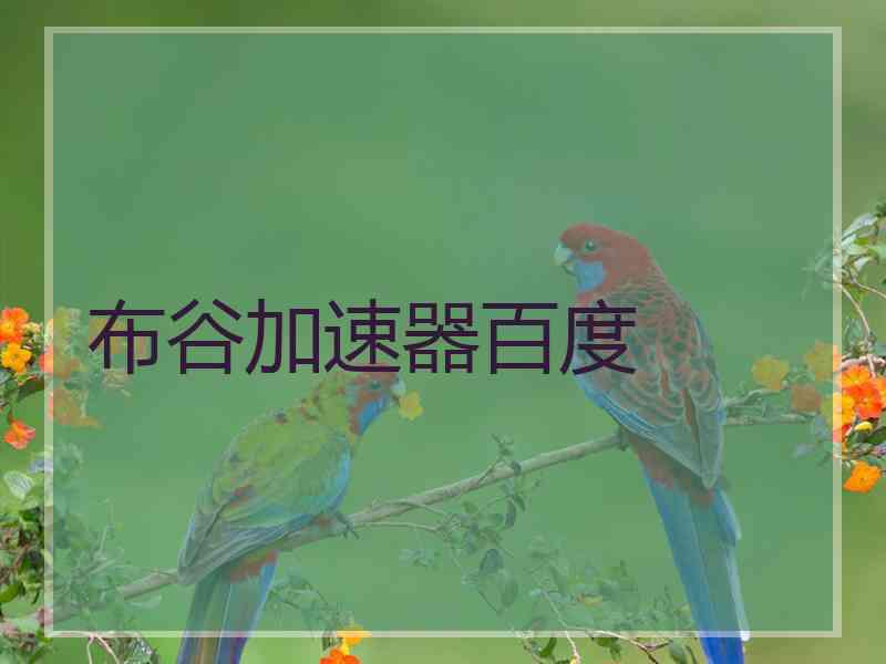 布谷加速器百度