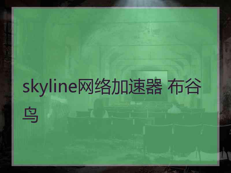 skyline网络加速器 布谷鸟