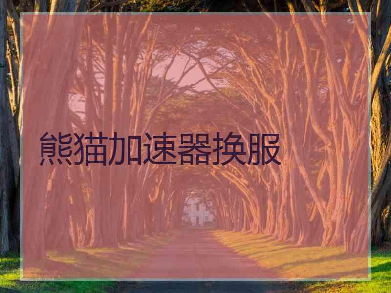 熊猫加速器换服
