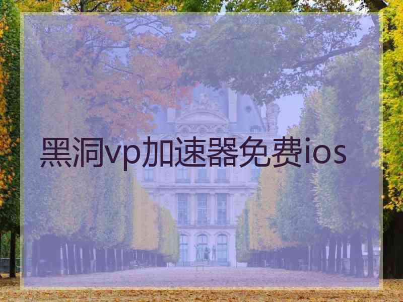 黑洞vp加速器免费ios