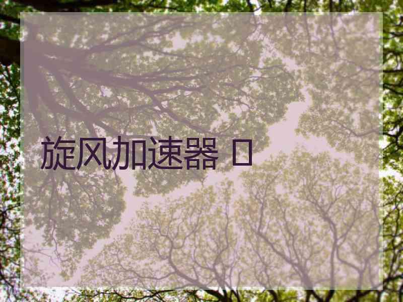 旋风加速器 	