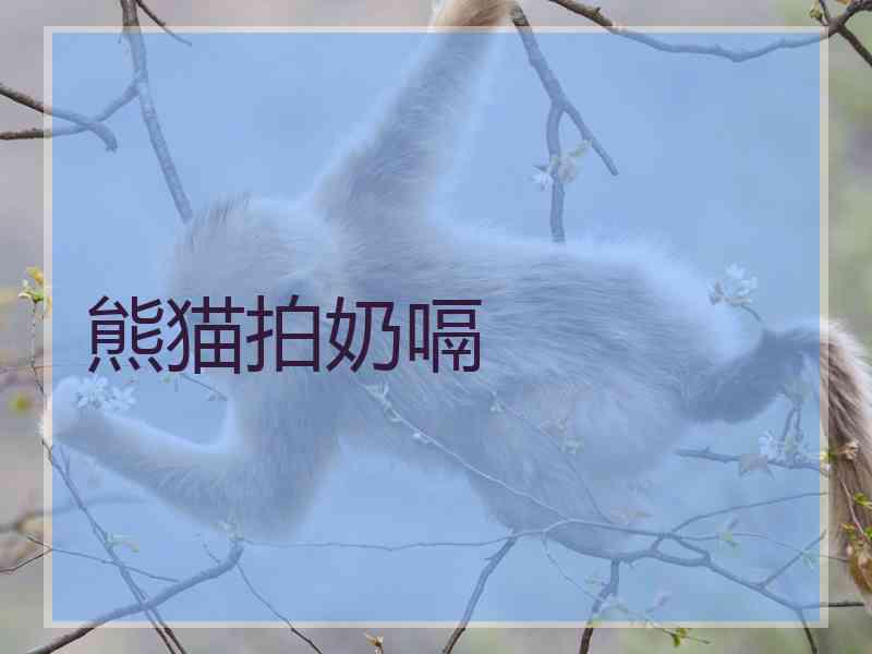 熊猫拍奶嗝