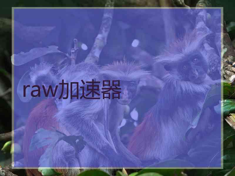 raw加速器