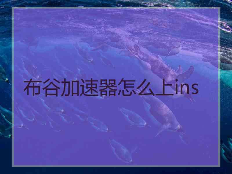 布谷加速器怎么上ins