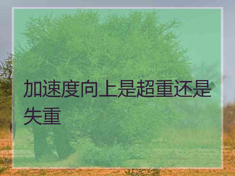 加速度向上是超重还是失重