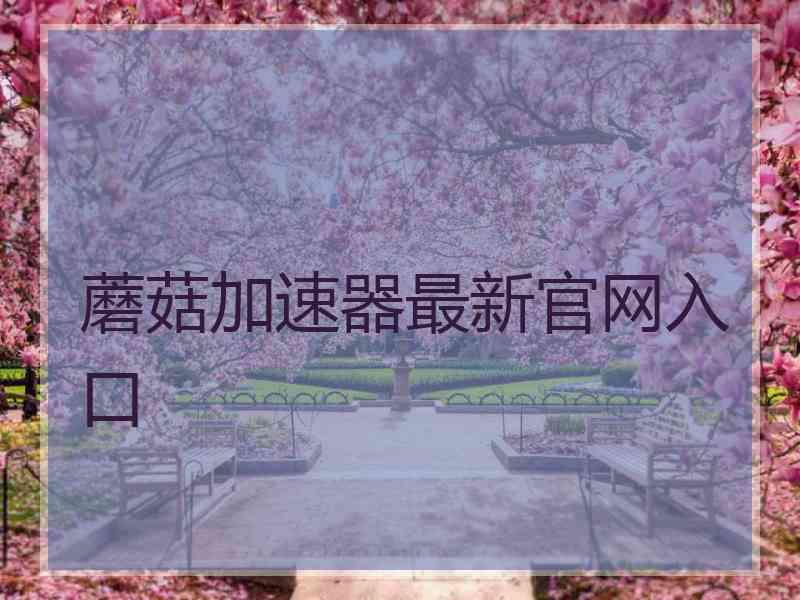蘑菇加速器最新官网入口