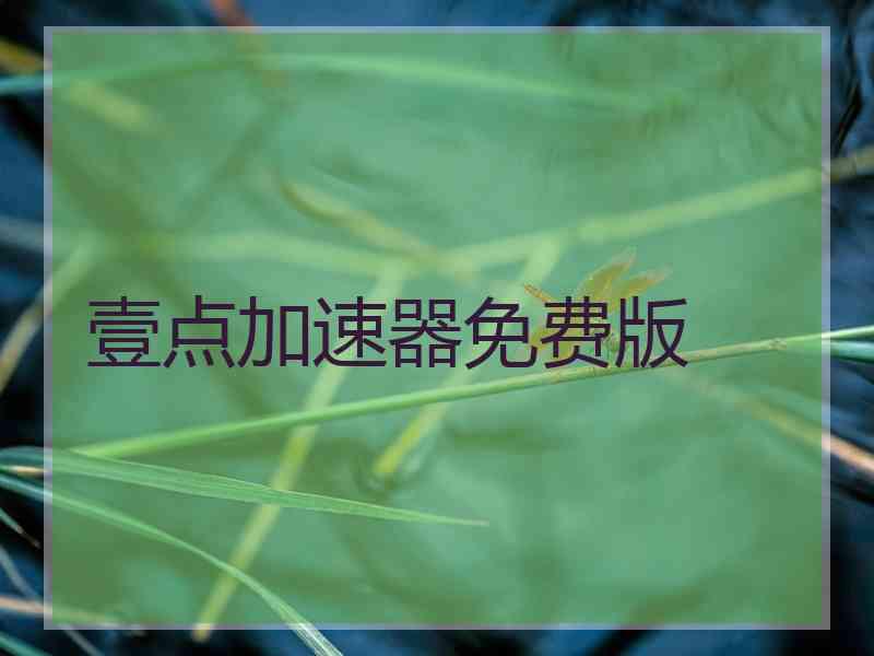壹点加速器免费版