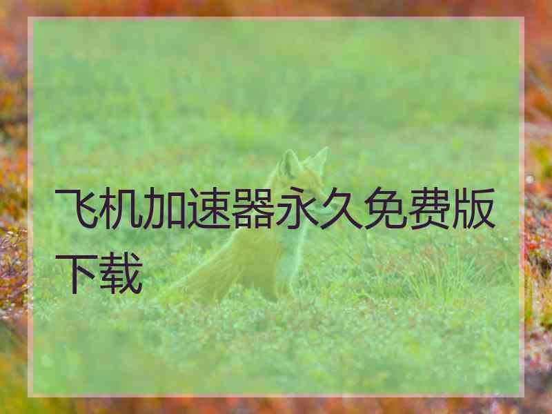 飞机加速器永久免费版下载