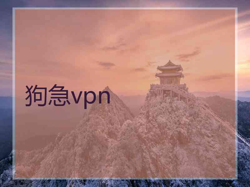 狗急vpn