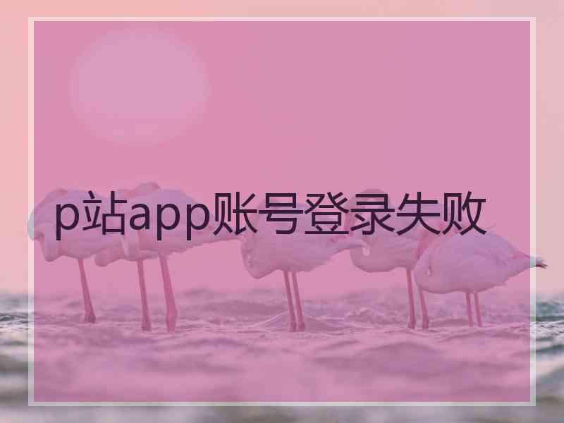 p站app账号登录失败