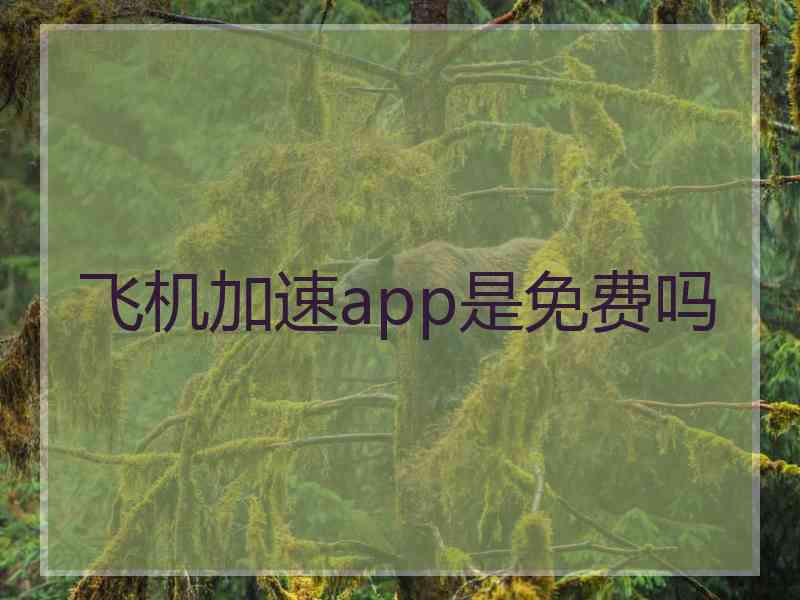 飞机加速app是免费吗