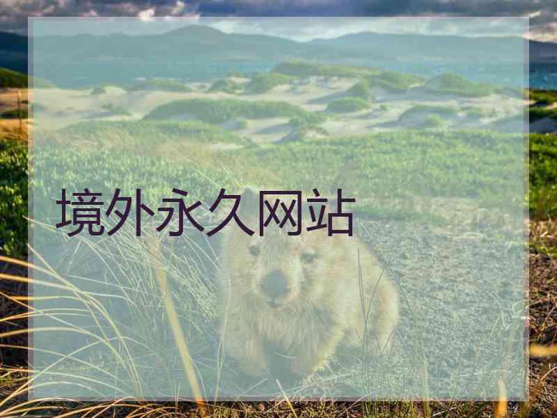 境外永久网站