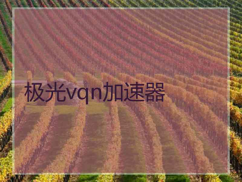 极光vqn加速器