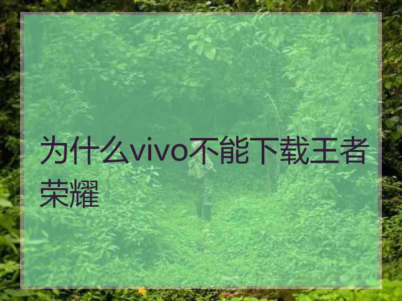 为什么vivo不能下载王者荣耀