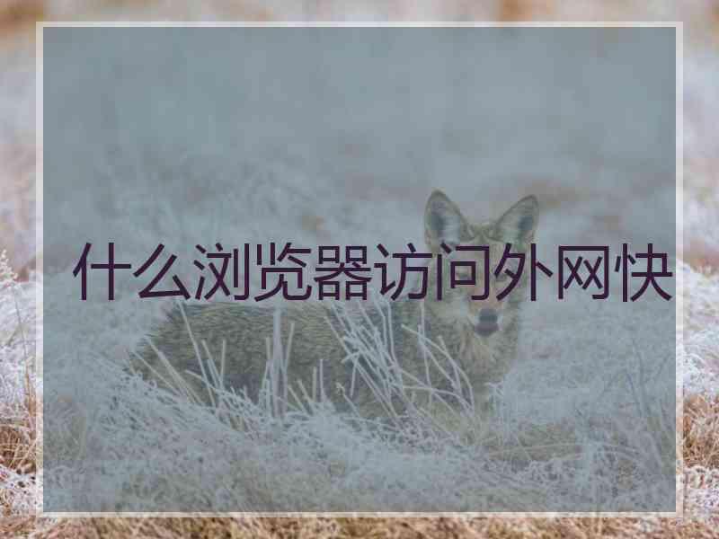 什么浏览器访问外网快