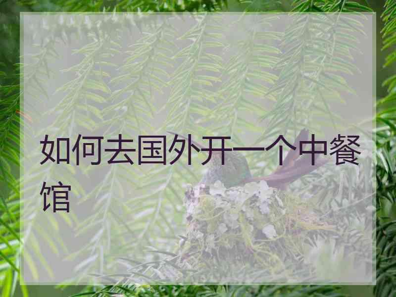 如何去国外开一个中餐馆