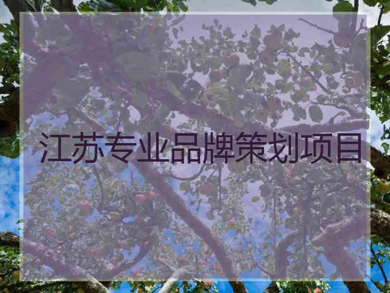 江苏专业品牌策划项目
