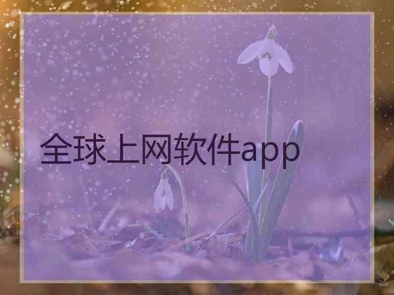 全球上网软件app