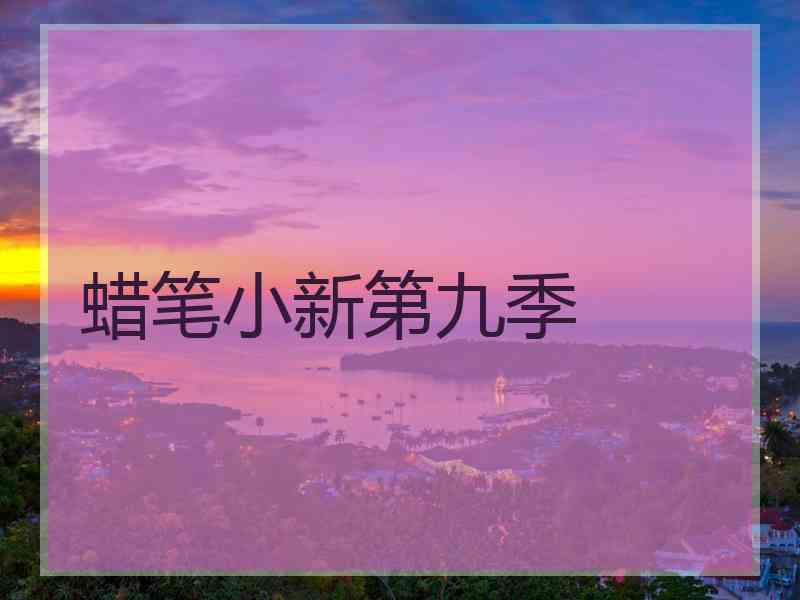 蜡笔小新第九季