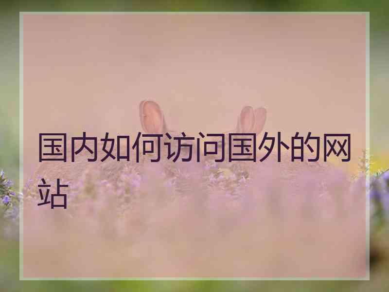 国内如何访问国外的网站