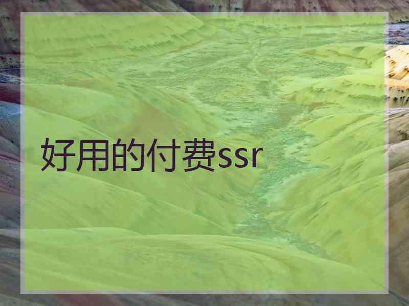 好用的付费ssr