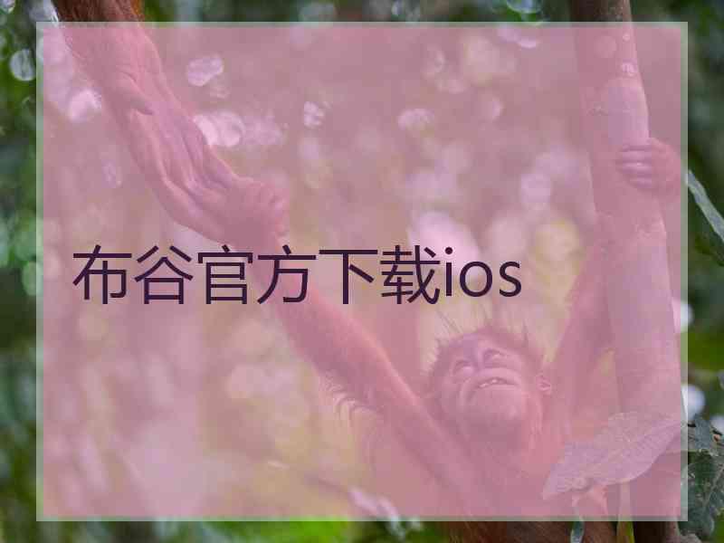 布谷官方下载ios