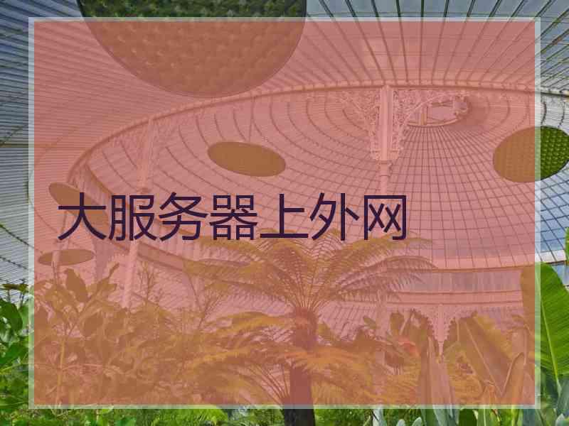 大服务器上外网