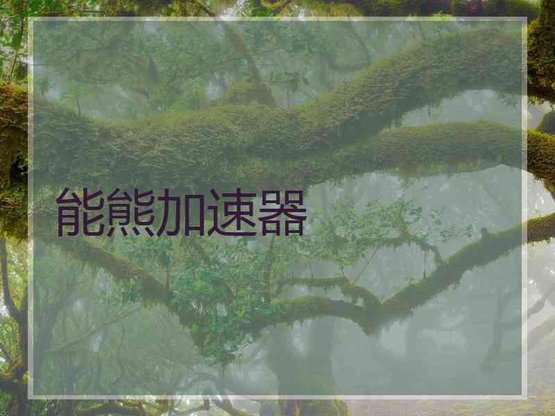 能熊加速器