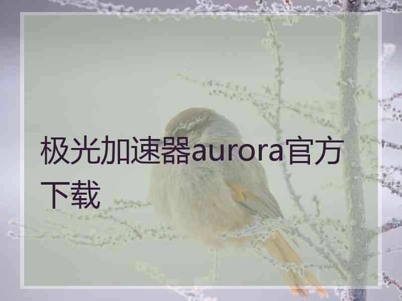 极光加速器aurora官方下载