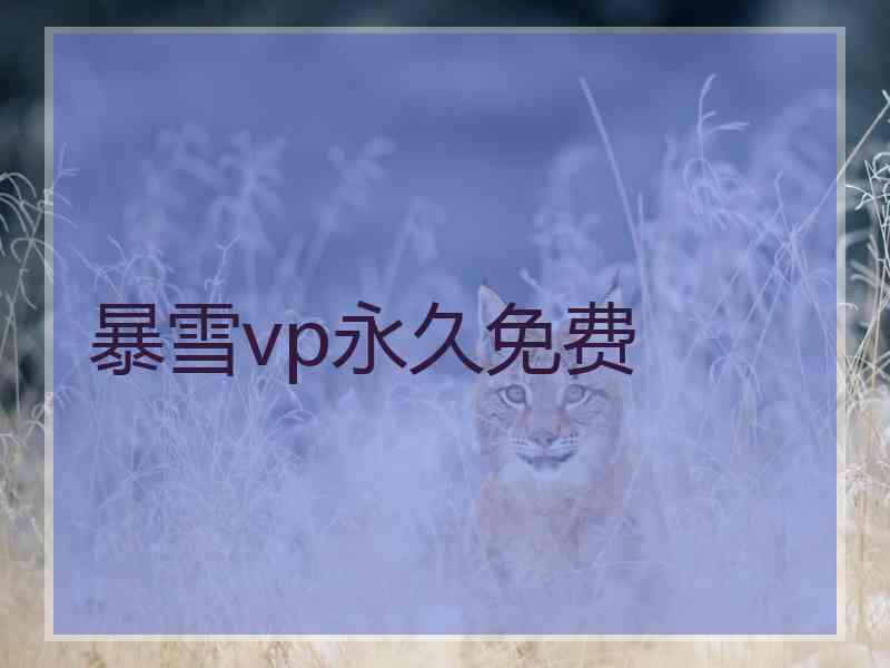 暴雪vp永久免费