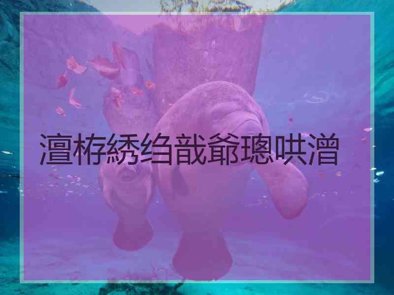 澶栫綉绉戠爺璁哄潧