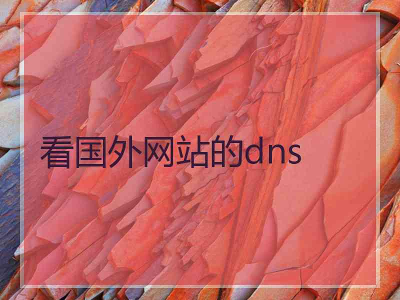 看国外网站的dns