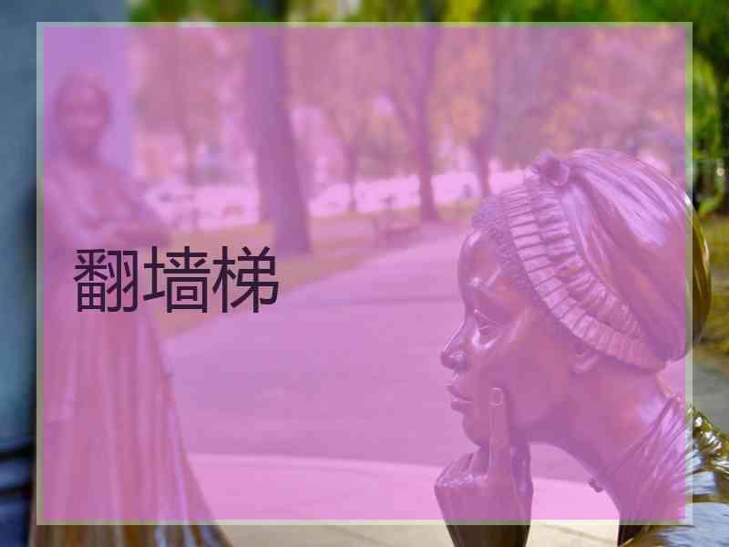 翻墙梯