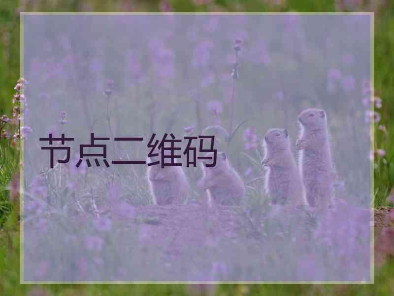 节点二维码
