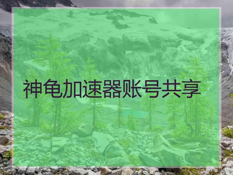 神龟加速器账号共享