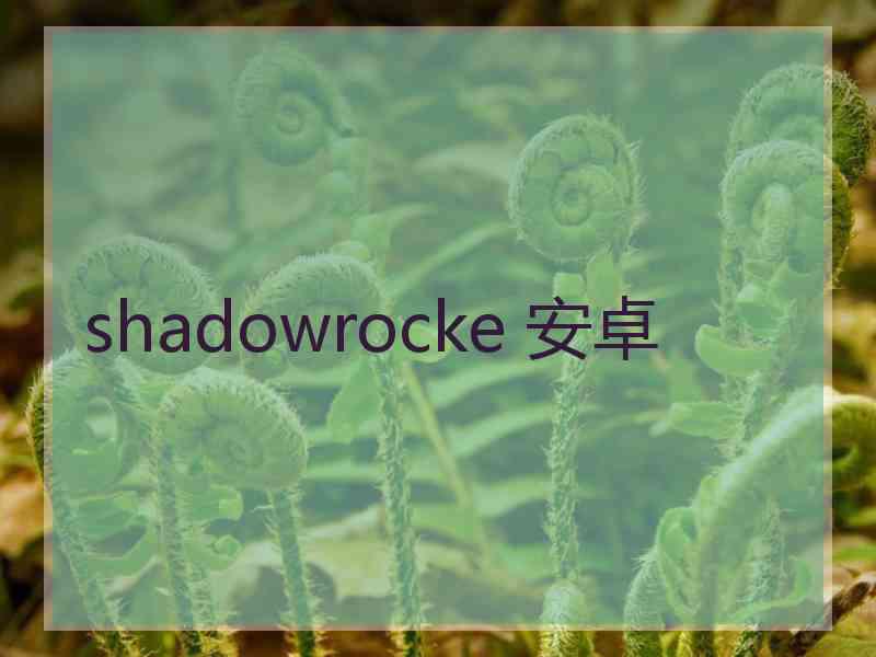 shadowrocke 安卓